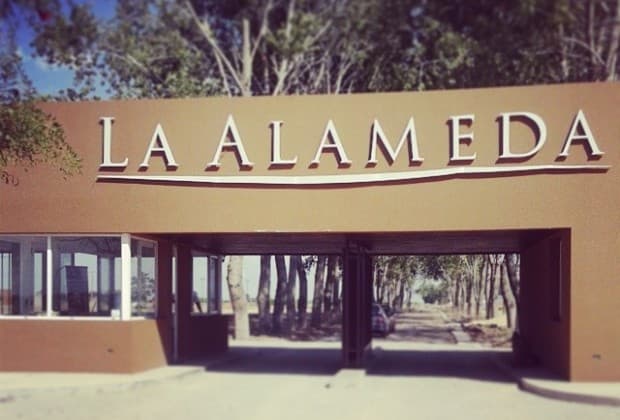 Lote en Venta - La Alameda Barrio Privado & Spa (Lote 428)