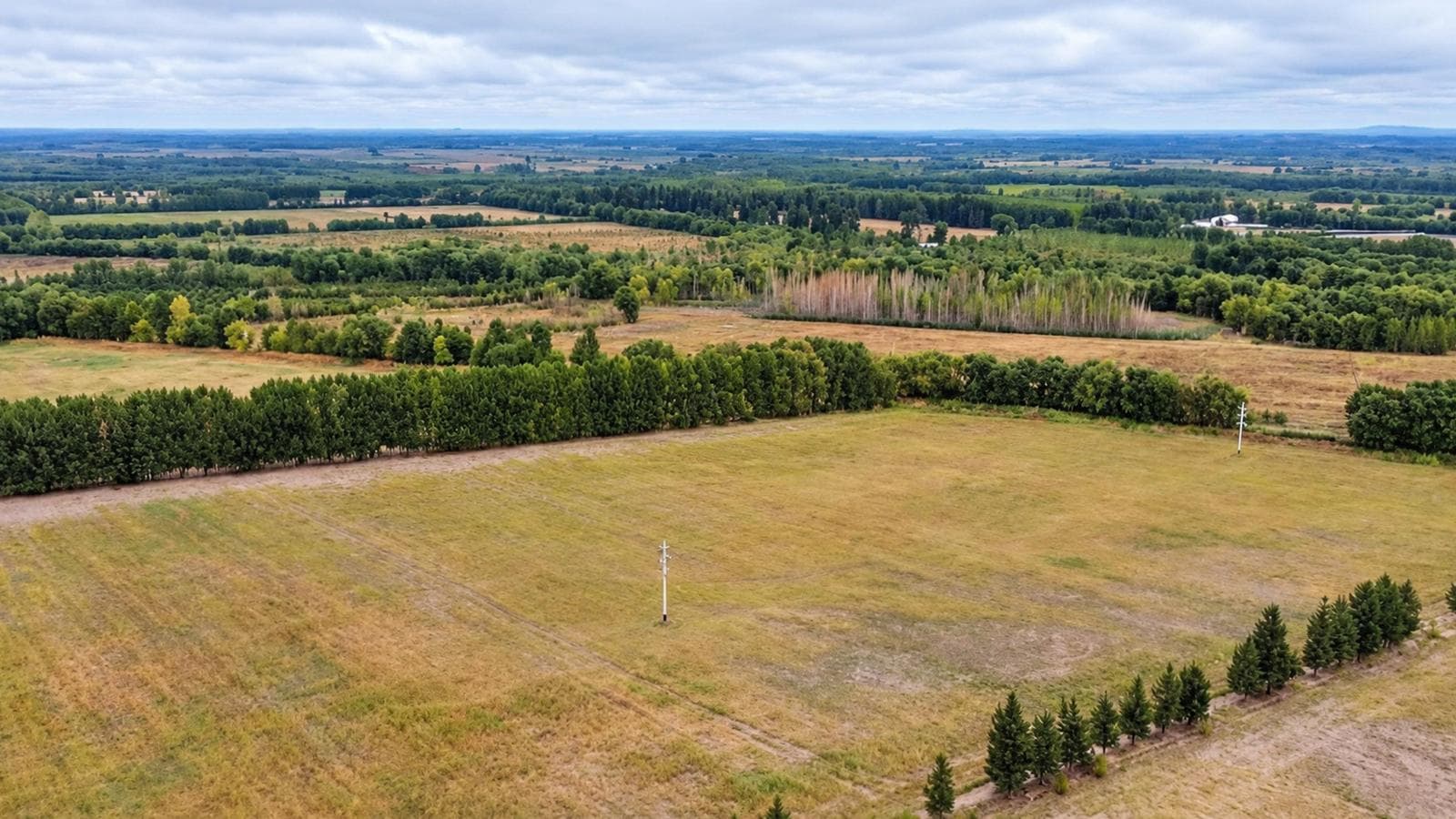 FINCA 40 HECTAREAS EN VENTA EN TUNUYAN MENDOZA