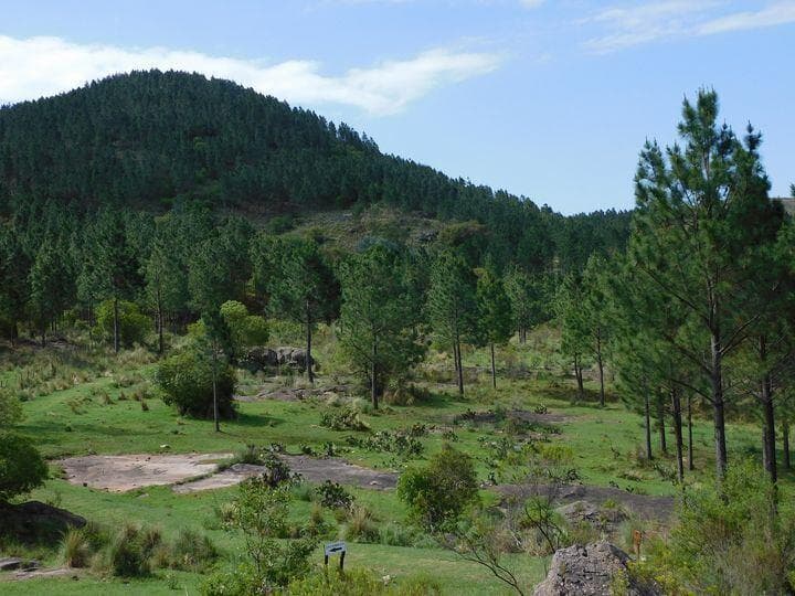 Terreno en La Matilde - San Javier - Códoba