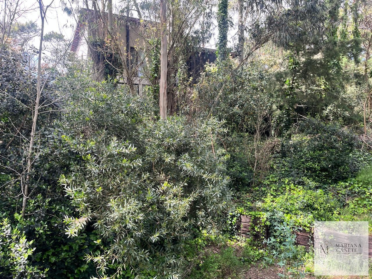 Terreno en Carilo