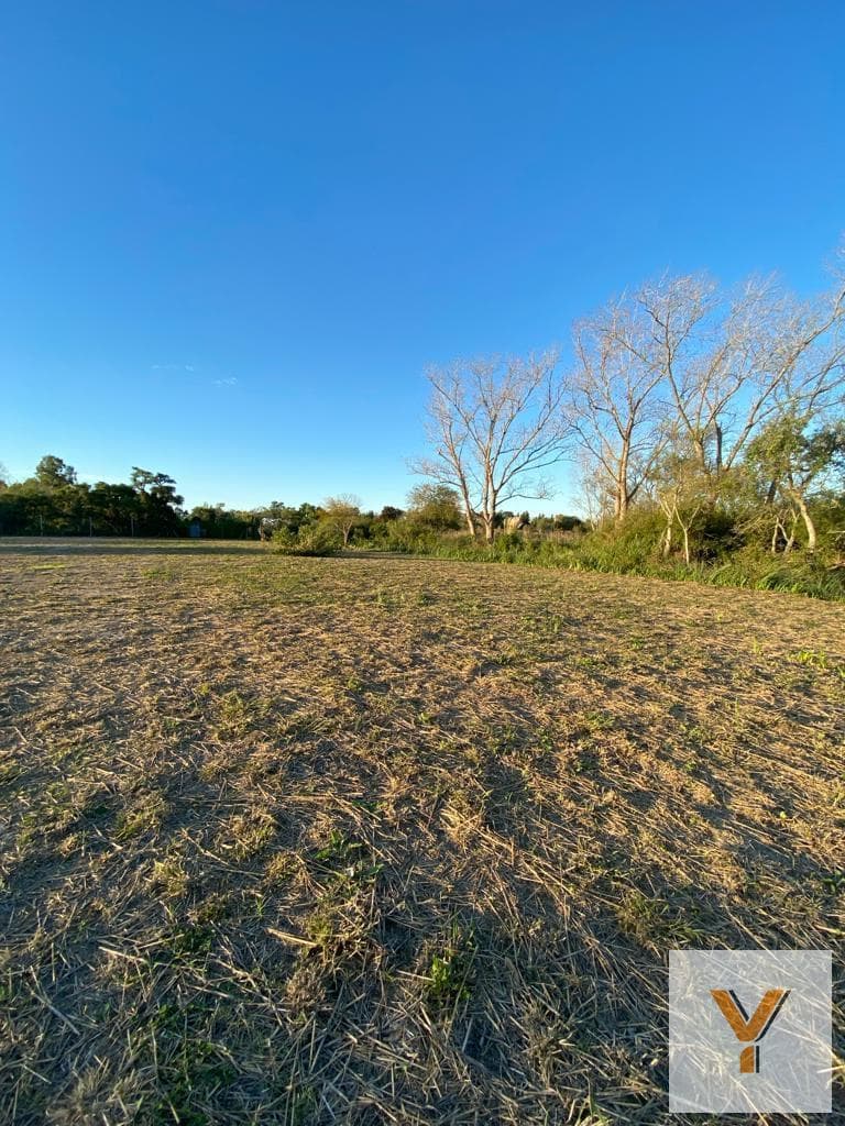 Terreno en venta - 2.428Mts2 - Los Talas, Berisso