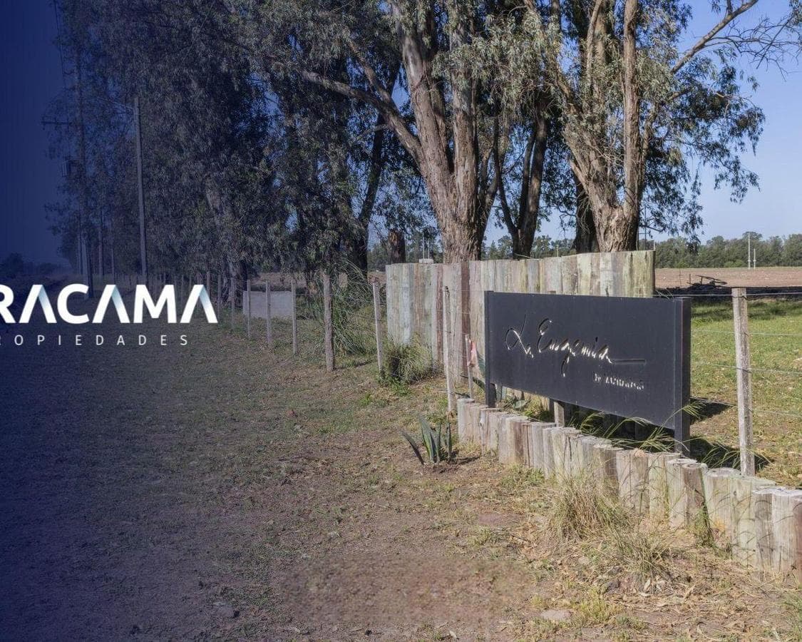 Lotes en Venta en La Eugenia - Maximo Paz