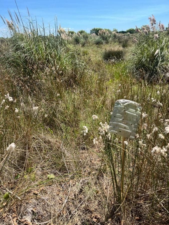 LOTE EN NUEVA ATLANTIS A 10 CUADRAS DEL MAR