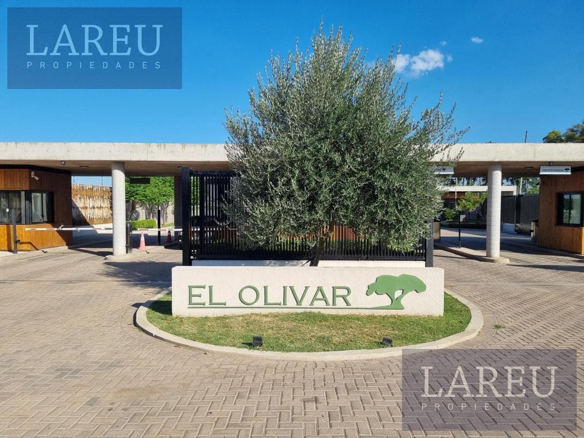 Terreno en El Olivar
